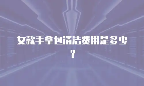 女款手拿包清洁费用是多少？