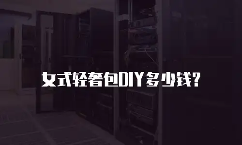 女式轻奢包DIY多少钱？