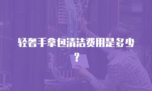 轻奢手拿包清洁费用是多少？