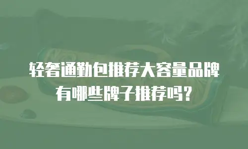 轻奢通勤包推荐大容量品牌有哪些牌子推荐吗？