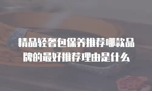 精品轻奢包保养推荐哪款品牌的最好推荐理由是什么