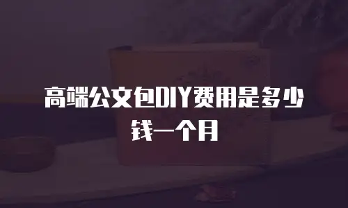 高端公文包DIY费用是多少钱一个月