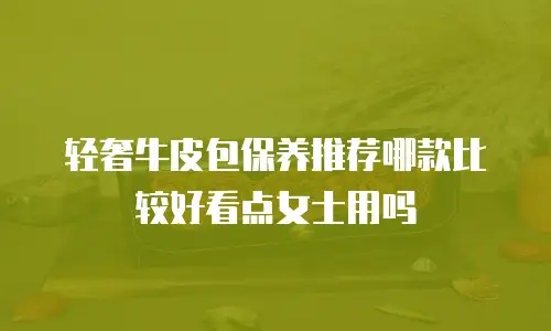 轻奢牛皮包保养推荐哪款比较好看点女士用吗