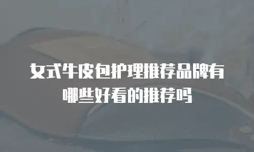 女式牛皮包护理推荐品牌有哪些好看的推荐吗