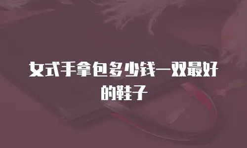 女式手拿包多少钱一双最好的鞋子