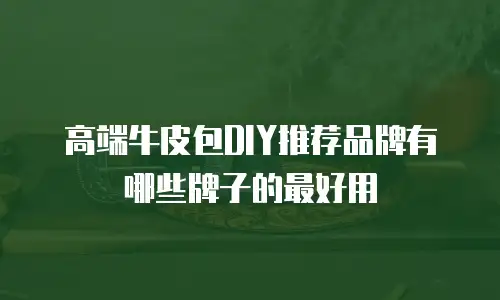 高端牛皮包DIY推荐品牌有哪些牌子的最好用