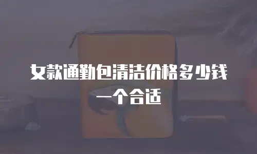 女款通勤包清洁价格多少钱一个合适