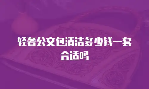 轻奢公文包清洁多少钱一套合适吗