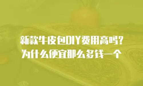 新款牛皮包DIY费用高吗？为什么便宜那么多钱一个