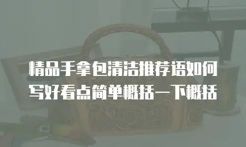 精品手拿包清洁推荐语如何写好看点简单概括一下概括