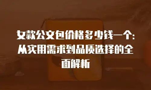 女款公文包价格多少钱一个：从实用需求到品质选择的全面解析