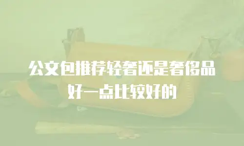公文包推荐轻奢还是奢侈品好一点比较好的