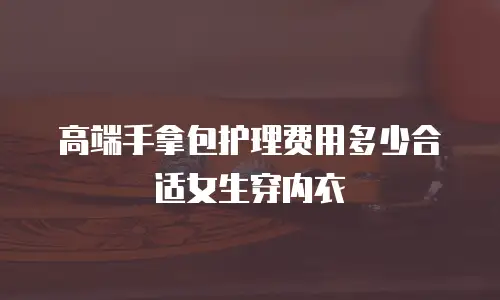 高端手拿包护理费用多少合适女生穿内衣