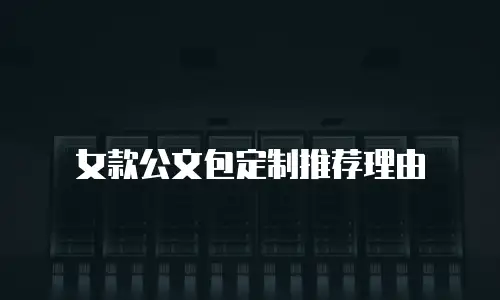 女款公文包定制推荐理由