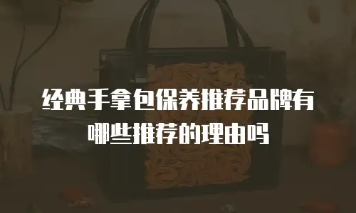 经典手拿包保养推荐品牌有哪些推荐的理由吗