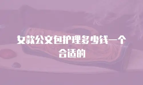 女款公文包护理多少钱一个合适的