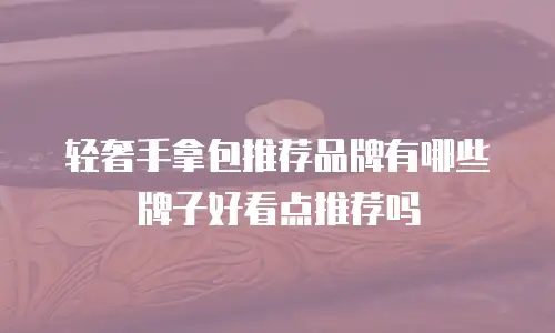 轻奢手拿包推荐品牌有哪些牌子好看点推荐吗