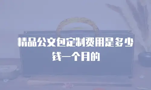精品公文包定制费用是多少钱一个月的