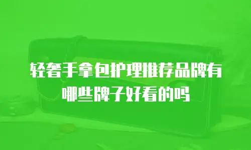 轻奢手拿包护理推荐品牌有哪些牌子好看的吗