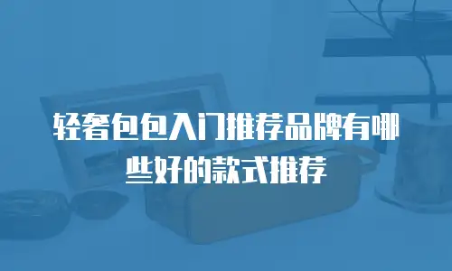 轻奢包包入门推荐品牌有哪些好的款式推荐