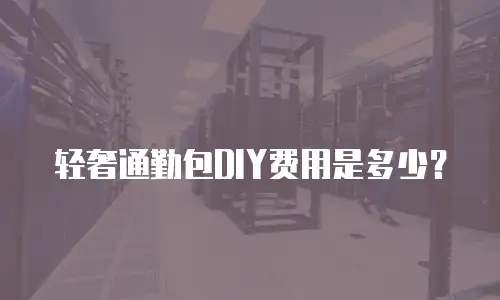 轻奢通勤包DIY费用是多少？