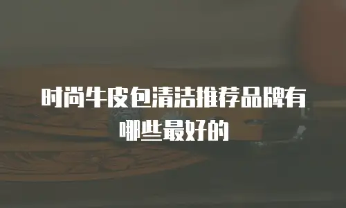 时尚牛皮包清洁推荐品牌有哪些最好的