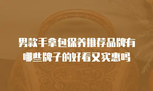 男款手拿包保养推荐品牌有哪些牌子的好看又实惠吗