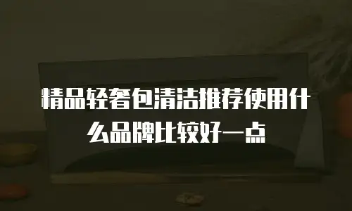 精品轻奢包清洁推荐使用什么品牌比较好一点