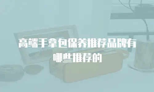 高端手拿包保养推荐品牌有哪些推荐的