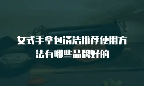女式手拿包清洁推荐使用方法有哪些品牌好的