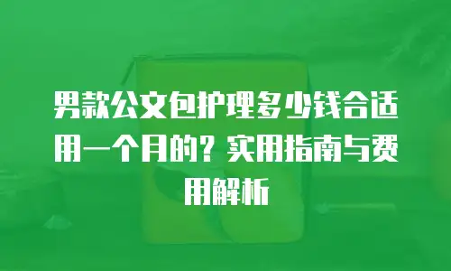 男款公文包护理多少钱合适用一个月的？实用指南与费用解析