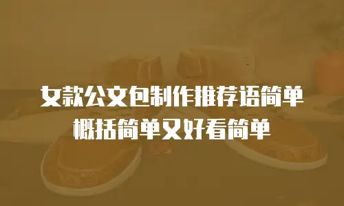 女款公文包制作推荐语简单概括简单又好看简单