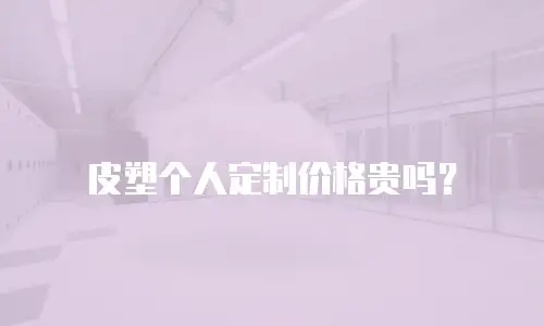 皮塑个人定制价格贵吗？