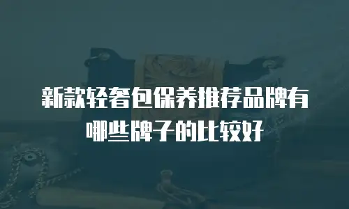 新款轻奢包保养推荐品牌有哪些牌子的比较好
