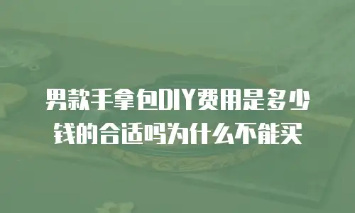 男款手拿包DIY费用是多少钱的合适吗为什么不能买