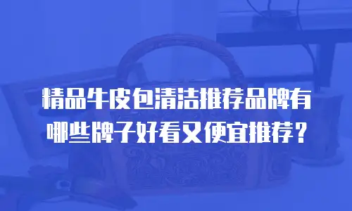 精品牛皮包清洁推荐品牌有哪些牌子好看又便宜推荐？