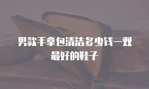 男款手拿包清洁多少钱一双最好的鞋子