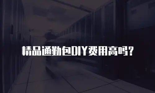 精品通勤包DIY费用高吗？