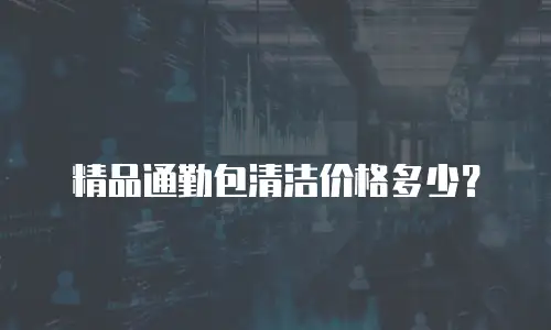 精品通勤包清洁价格多少？