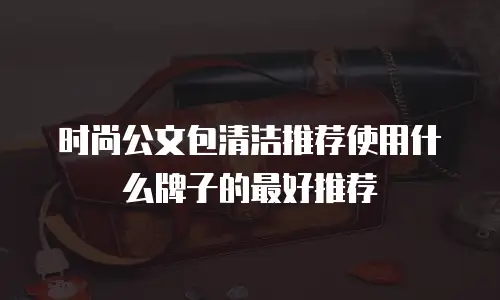 时尚公文包清洁推荐使用什么牌子的最好推荐