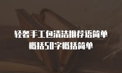 轻奢手工包清洁推荐语简单概括50字概括简单