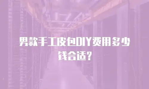 男款手工皮包DIY费用多少钱合适？