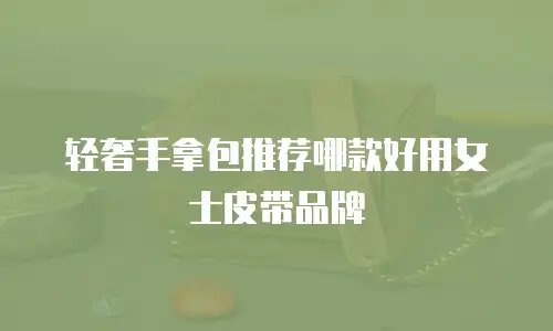 轻奢手拿包推荐哪款好用女士皮带品牌