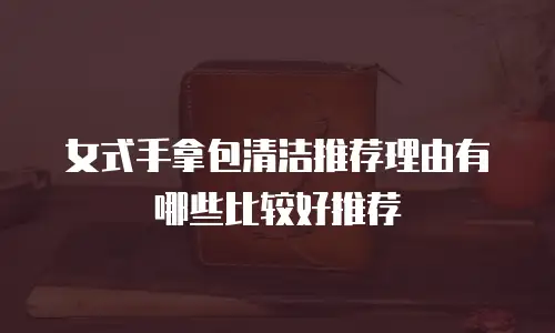女式手拿包清洁推荐理由有哪些比较好推荐