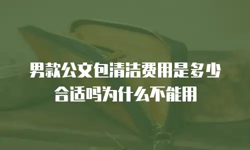 男款公文包清洁费用是多少合适吗为什么不能用