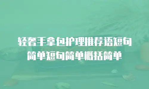 轻奢手拿包护理推荐语短句简单短句简单概括简单