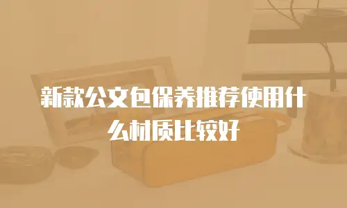 新款公文包保养推荐使用什么材质比较好