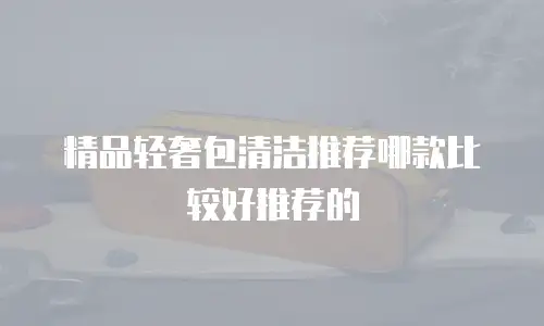 精品轻奢包清洁推荐哪款比较好推荐的