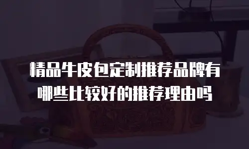 精品牛皮包定制推荐品牌有哪些比较好的推荐理由吗
