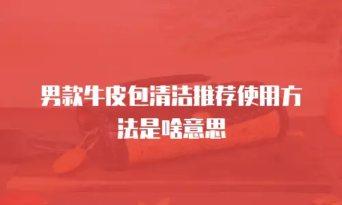 男款牛皮包清洁推荐使用方法是啥意思